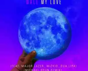 Wale - My Love (Michael Brun Remix) Ft. Major Lazer, Wizkid & Dua Lipa